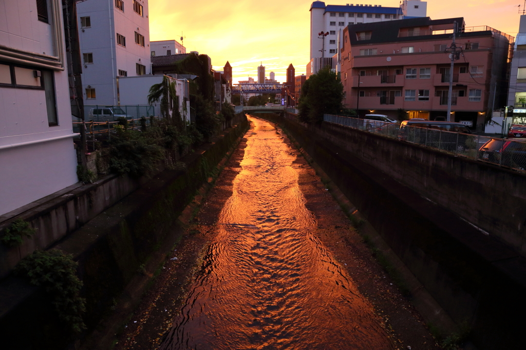 光の川