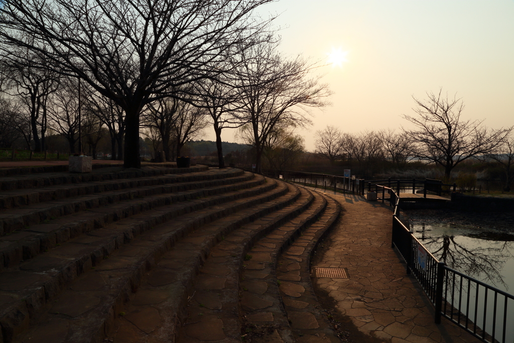 冬の公園