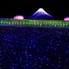 夜のみ現る富士