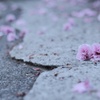 いつまでも二人で