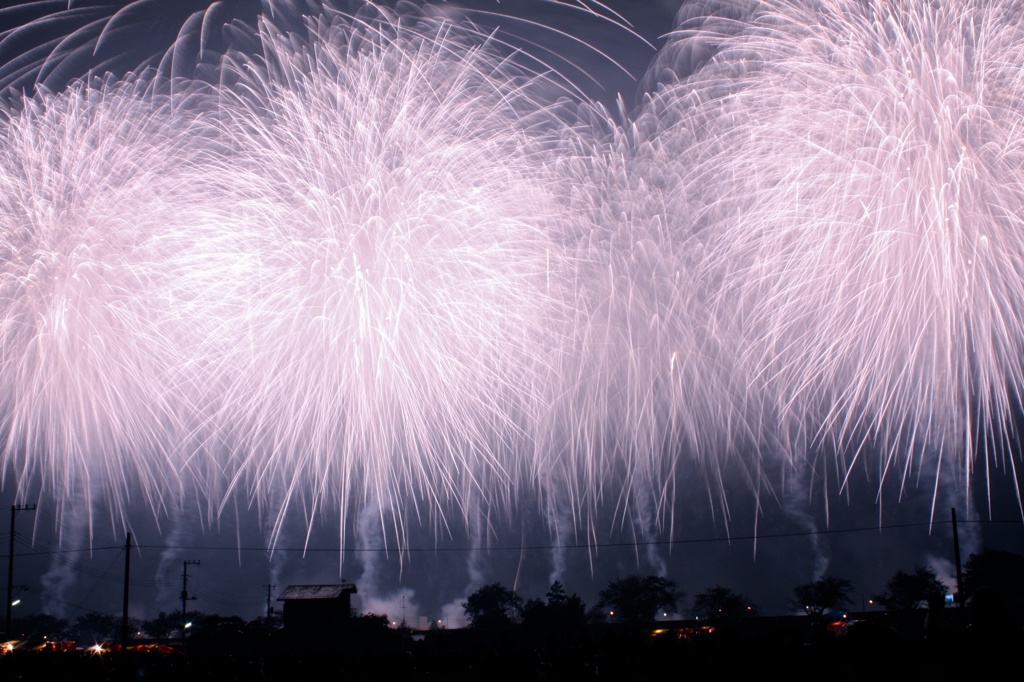 夜に咲く花の火