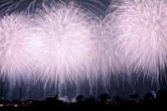 夜に咲く花の火