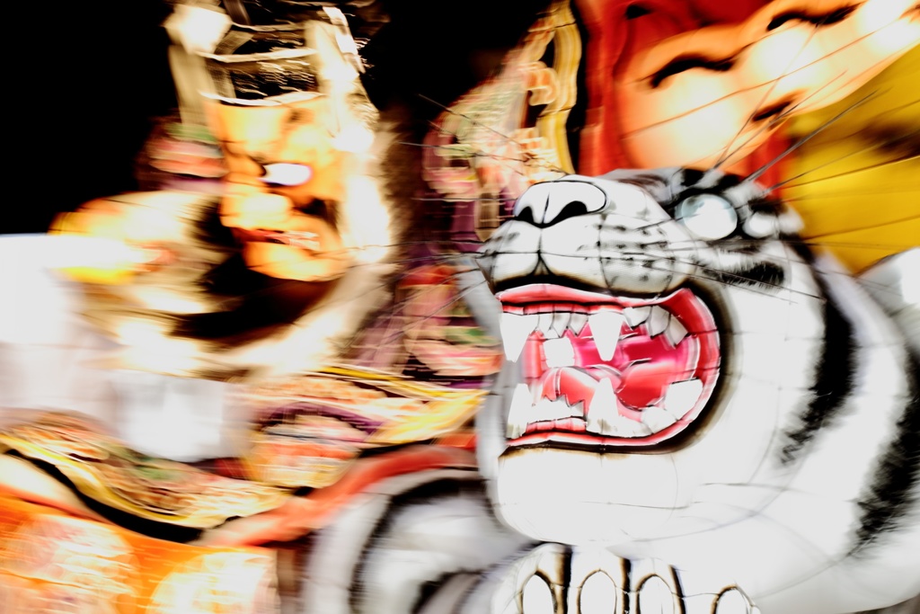 躍動