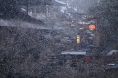 京都雪物語~緑を願って~