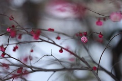 春待ちて