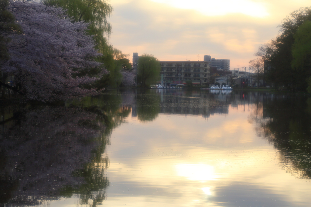 春の朝