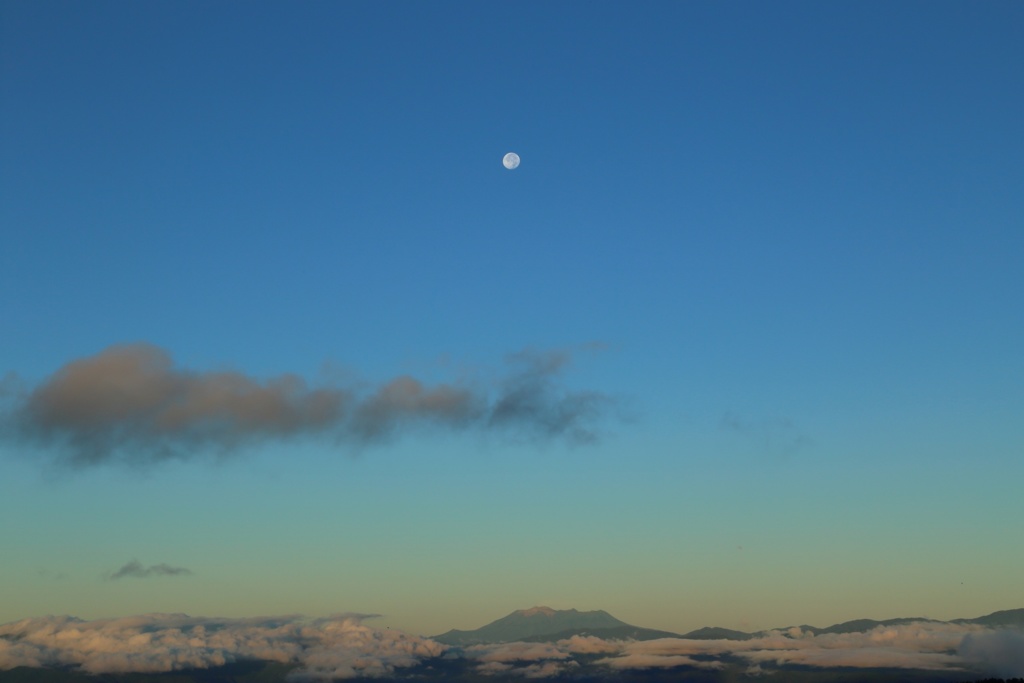 月が見守る朝