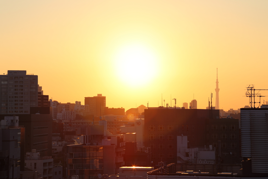 9/13朝