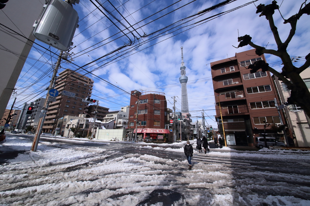 東京雪景色