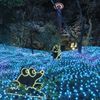 森の仲間