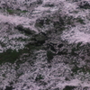 生きる