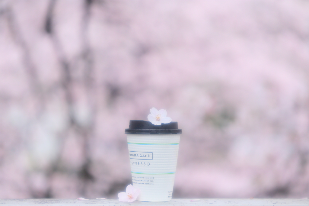 春カフェ