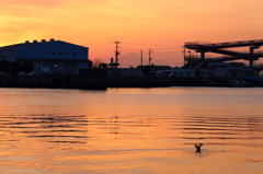 夕焼けに包まれ
