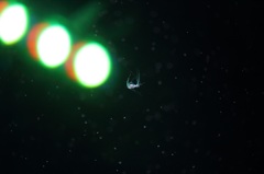 宇宙船への帰還