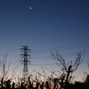 冬の二十八夜と鉄塔