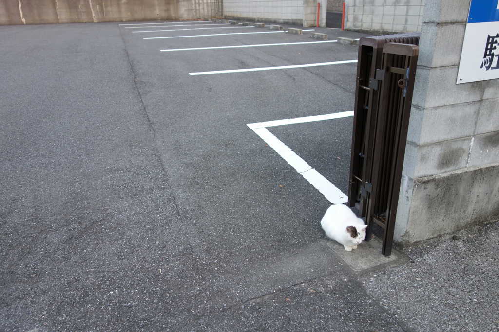 待ち伏せ