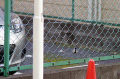 サイズぴったり