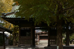 御門から見えるお寺
