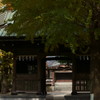 御門から見えるお寺