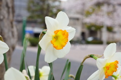 公園の片隅