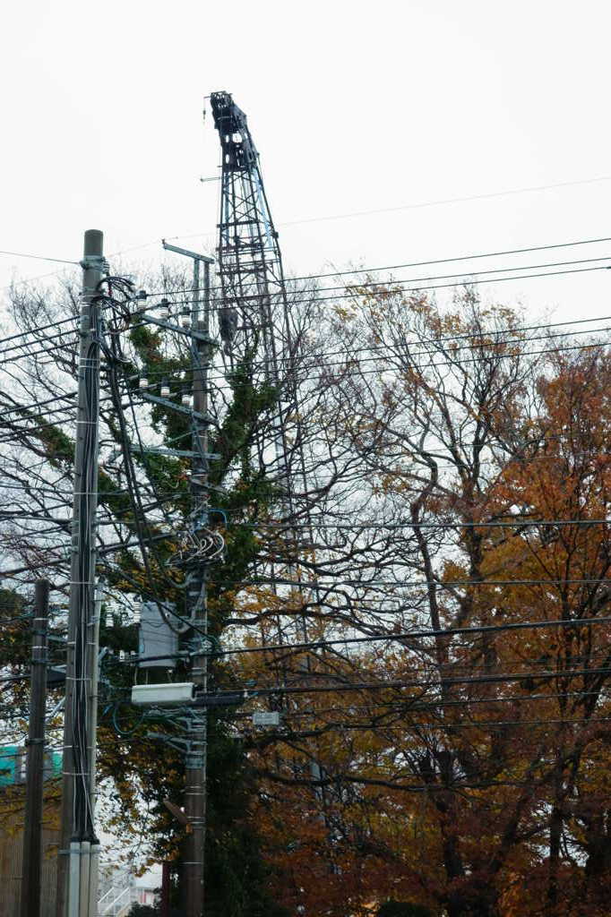 紅葉とクレーンと、電柱と電線と。
