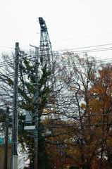 紅葉とクレーンと、電柱と電線と。