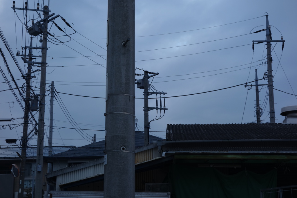 電柱林