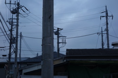 電柱林