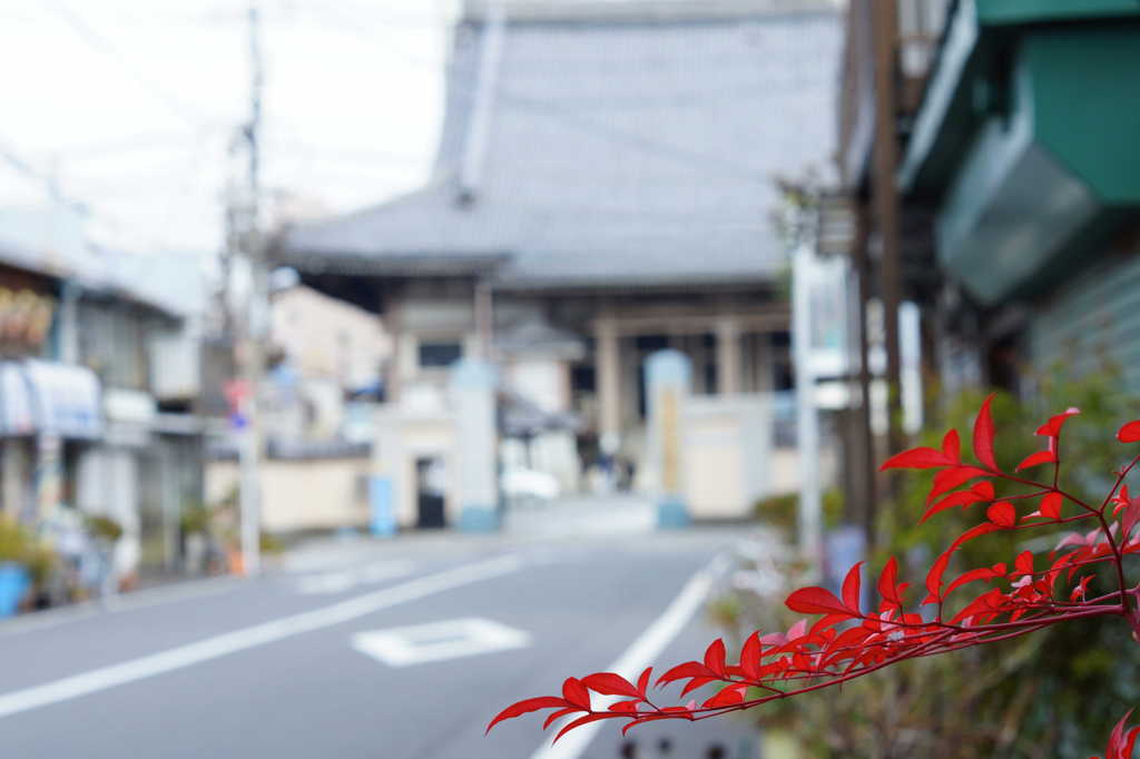 寺前の風情