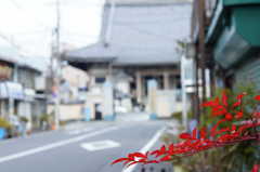 寺前の風情
