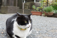 見つめる先には．．．。