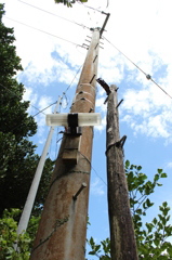 沖縄の電柱