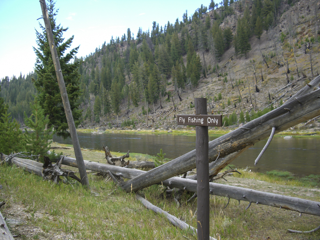 Fly Fishing Only