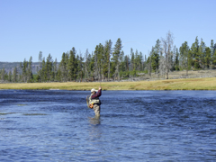 Firehole River #07　Fish On !!
