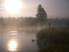 朝霧の中の釣り人