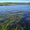 Firehole River #06