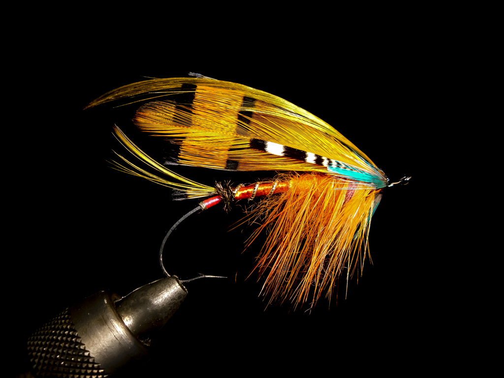 Orange Parson