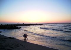 新潟の海　夕日