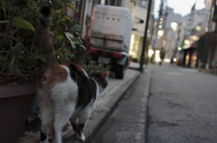 IMG_1688mini