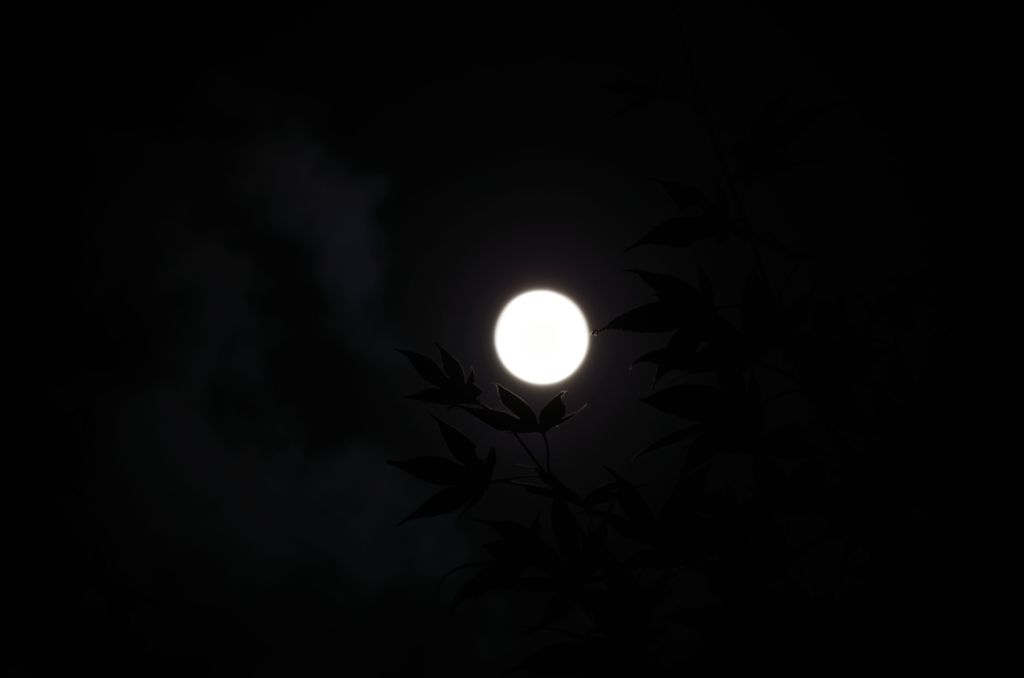 ただの満月