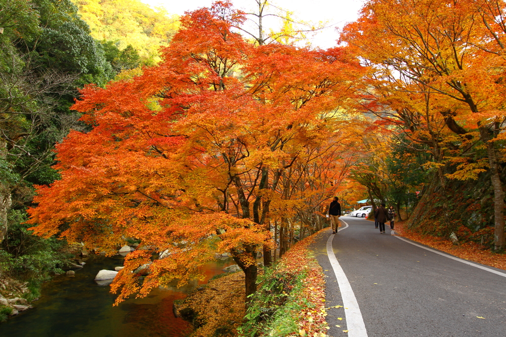 gradation