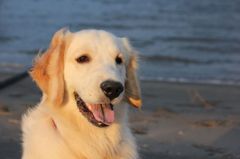 海の似合う男！