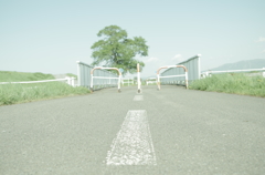 いつかみた風景