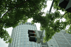 都会と自然