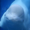 気になります
