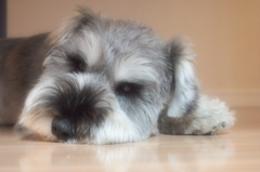 うと、うと・・・・