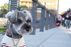 この角度でいいの？