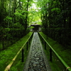 雨の参道