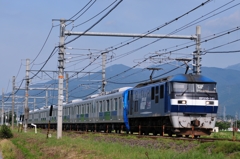 梅雨の晴れ間に