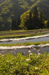 棚田のある景色